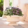 Venetian Urn