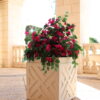 Palm Beach Planter - Image 3